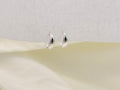 Men Silver tone Nattiyan - Classic Hoop Earrings